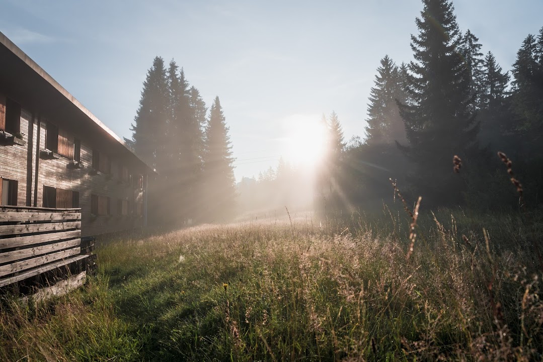 Friends of Saanenwald photo 2