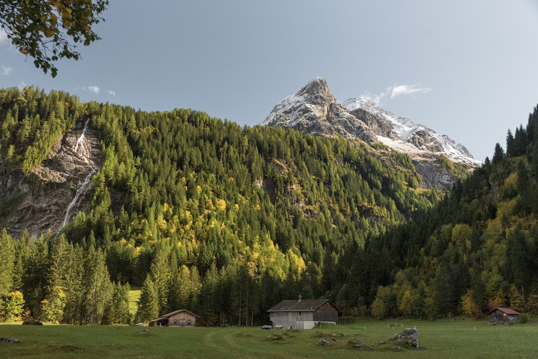 Friends of Saanenwald