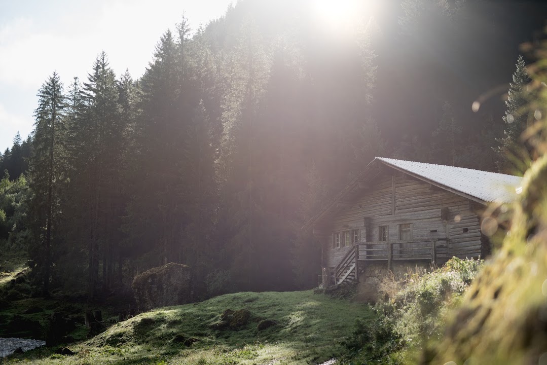 Friends of Saanenwald photo 4