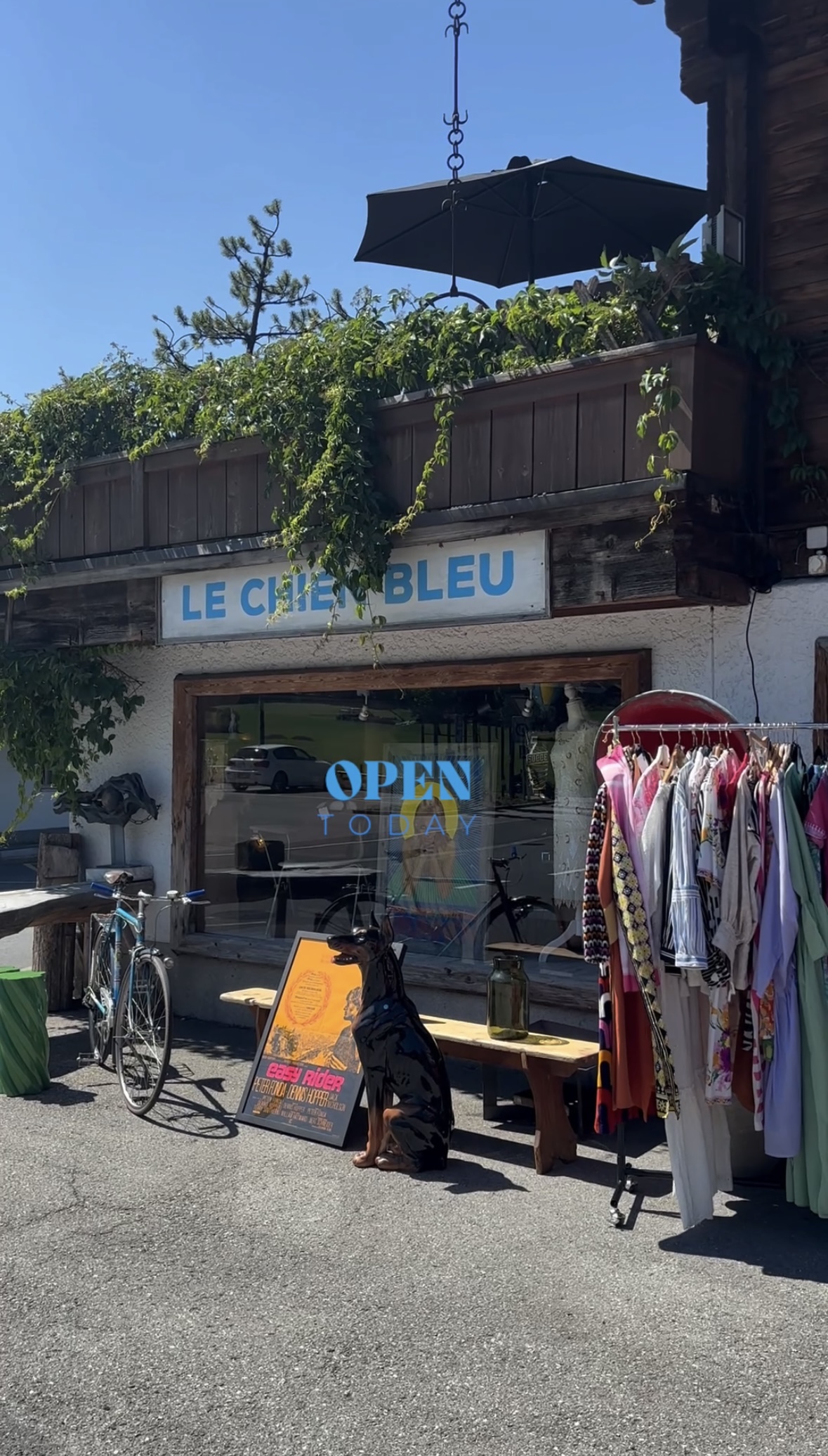 La Vache Bleue photo 3