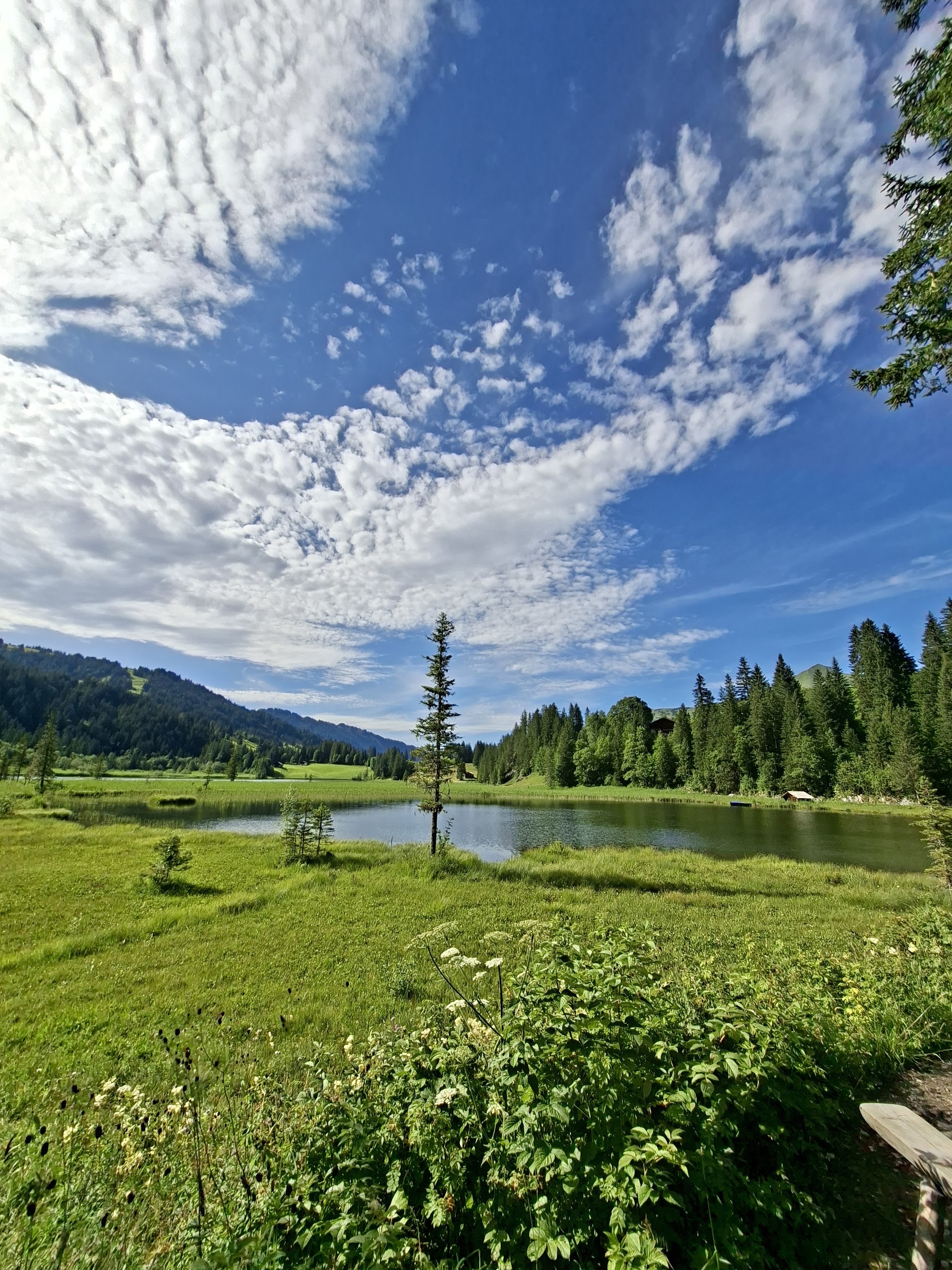 Lauenensee Restaurant photo 4