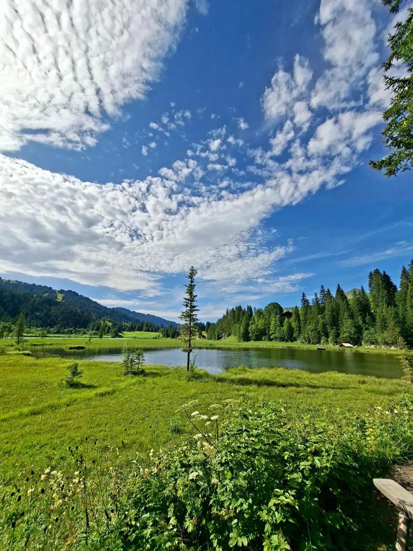 Lauenensee Restaurant photo 4