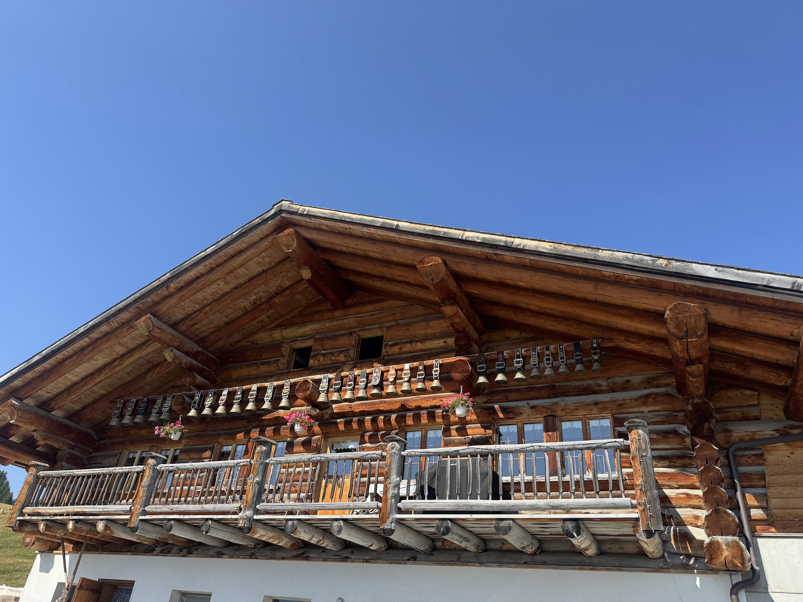 Site Alp photo 4