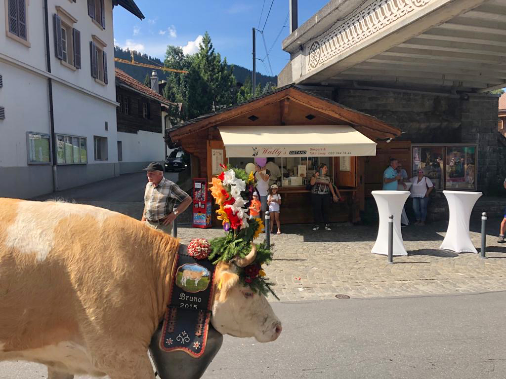 Wally’s Gstaad photo 3