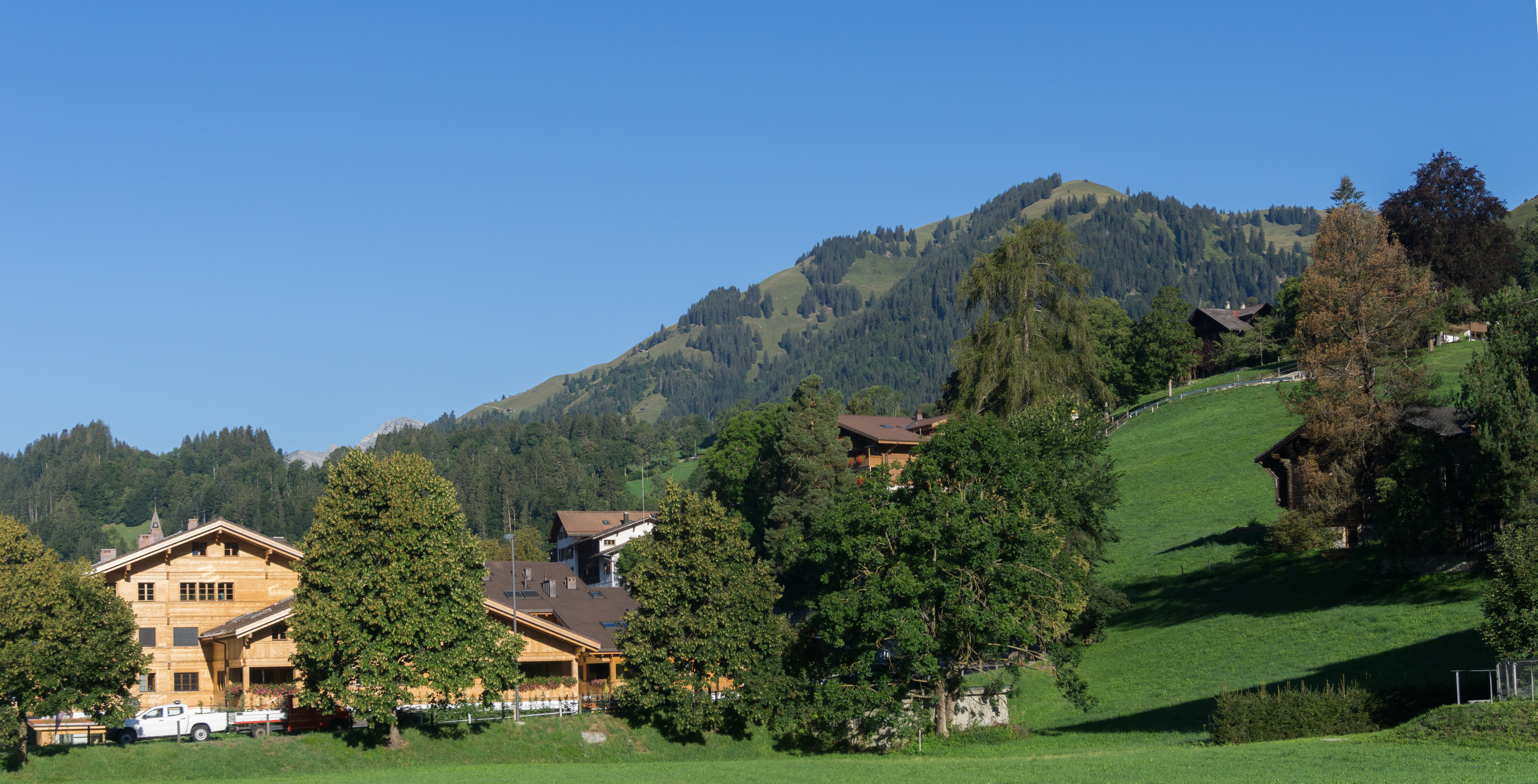 saanen