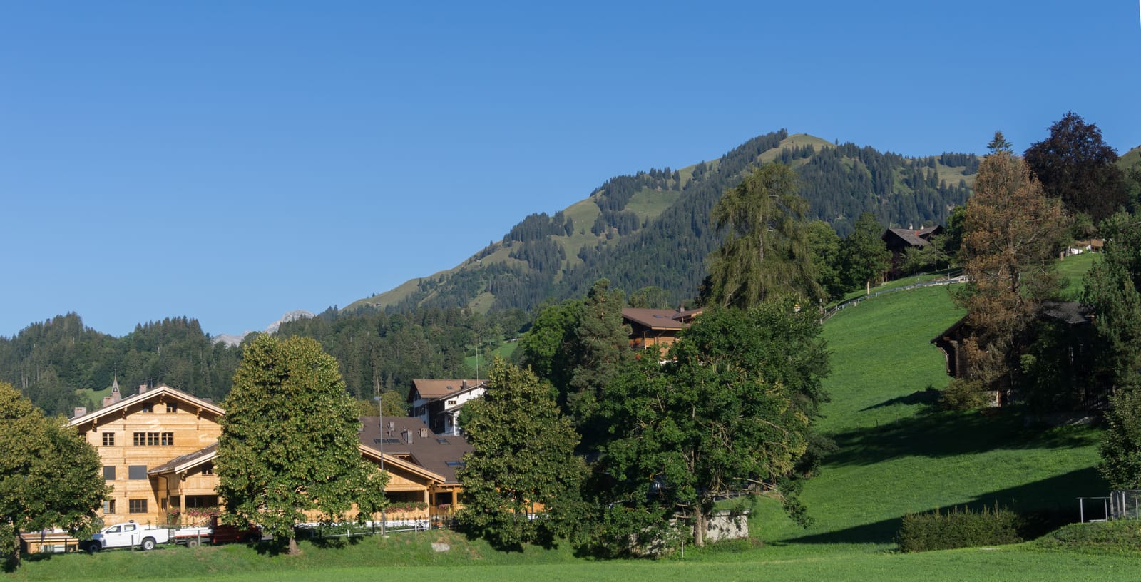 saanen