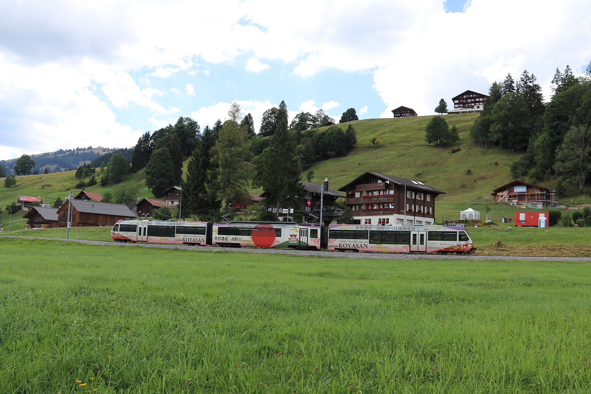 schoenried
