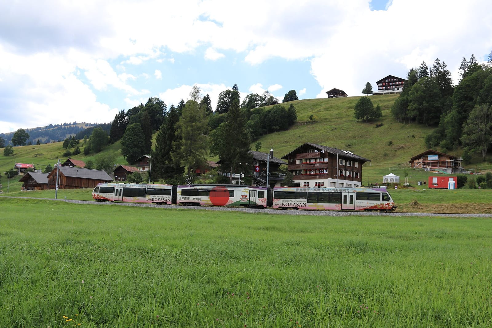 schoenried